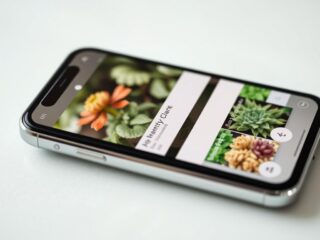 Descubra o Nome de Qualquer Planta em Segundos