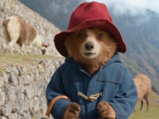 Películas y series para disfrutar en pareja o en familia