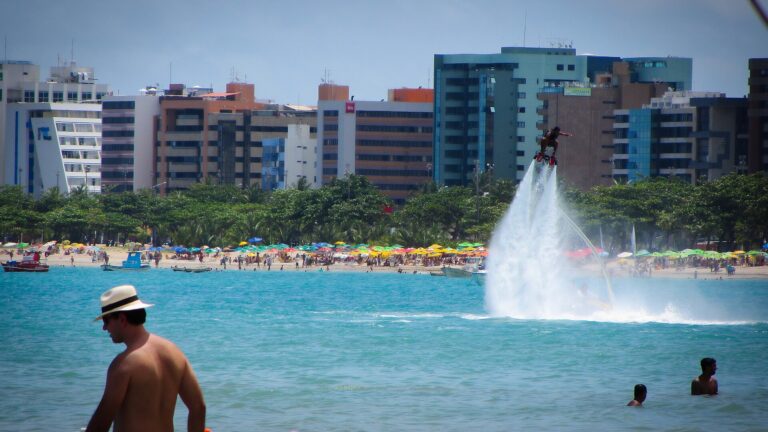 Consultar placa em Alagoas: os apps do histórico do veículo