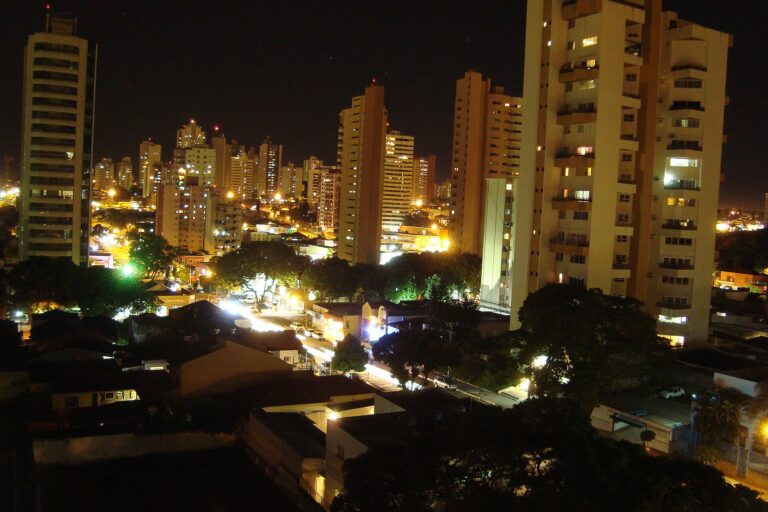 Consultar placa em Mato Grosso do Sul: os apps do histórico