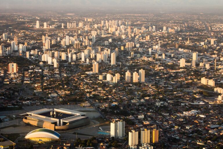 Consultar placa em Mato Grosso: os apps do histórico