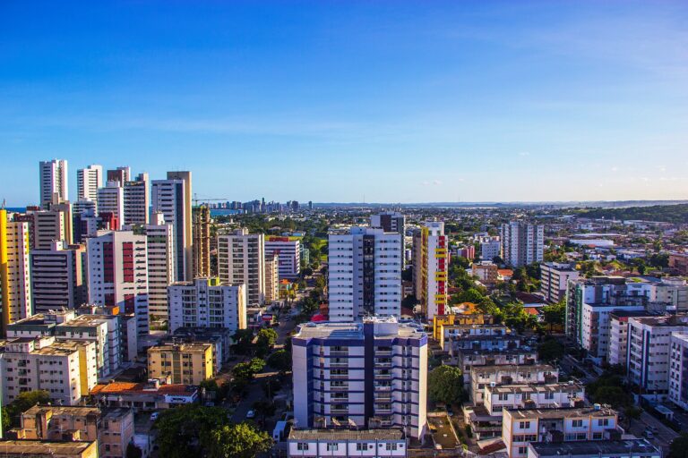 Consultar placa em Pernambuco: os apps do histórico do carro