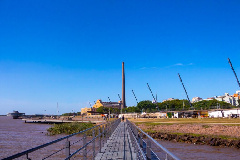 Consultar placa no Rio Grande do Sul: os apps do histórico