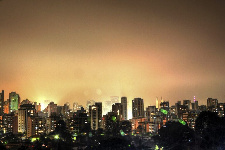 Consultar placa em São Paulo: os apps do histórico do veículo