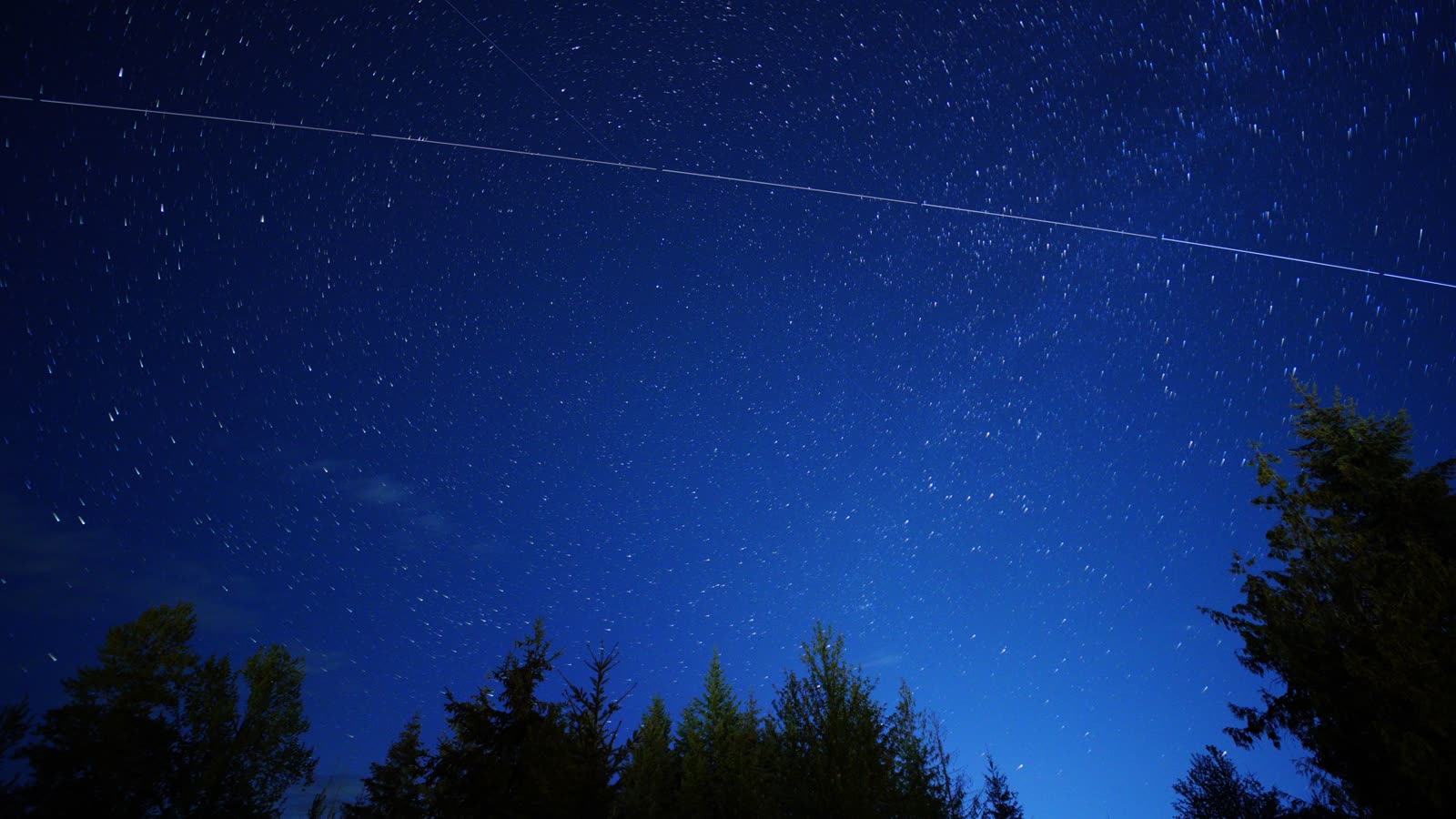 Rastro de luz contínuo cruzando o céu estrelado acima de pinheiros, em foto de longa exposição